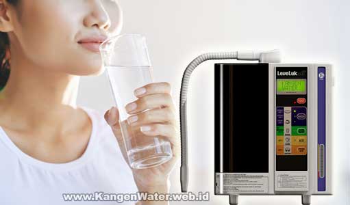 mesin kangen water leveluk sd501 filter air minum