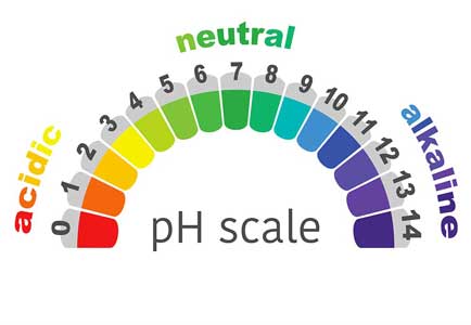 ph chart skala ph alkali asam netral
