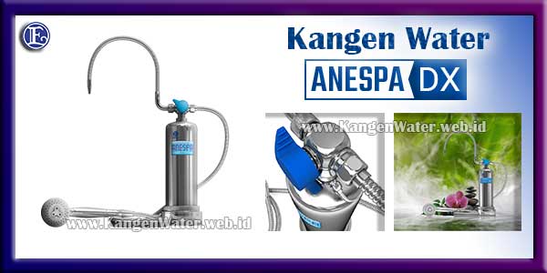 harga anespa dx enagic kangen water 
